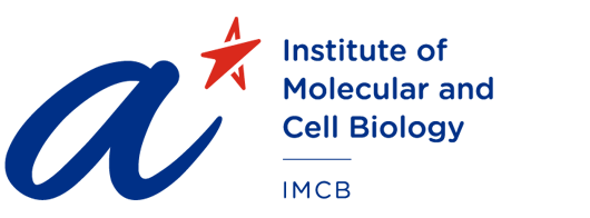 image from 2020-2021 Internship: Institute of Molecular and Cellular Biology (IMCB)